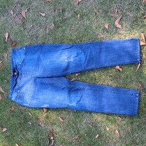 Peck and Peck size 12 women's pants